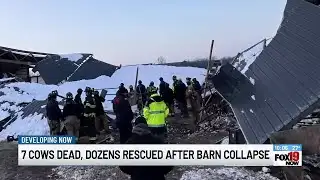 7 cows die after Warren County barn collapses