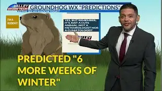 7 day forecast with Marcelo