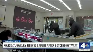7 jewelry store thieves caught after botched getaway in Orange County