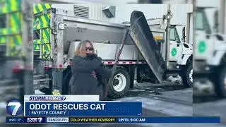 7-month-old kitten stuck in snow saved by ODOT worker | WHIO-TV