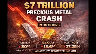 $7 Trillion Vanished in 36 Hours | The Precious Metals Collapse Explained.