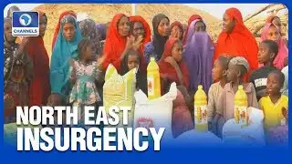 71,000 Displaced Persons Are In Bauchi State-SEMA