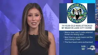 74-year-old Colorado man attacked by black bear inside home