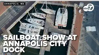 7News Drone over Annapolis City Dock in Maryland