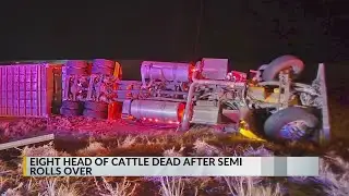 8 cattle killed in Moriarty truck crash