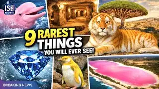 9 Rarest Things You Will Ever See | ISH News