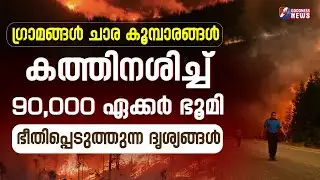 കത്തിനശിച്ച് 90000 ഏക്കർ ഭൂമി ഭീതിപ്പെടുത്തുന്ന ദൃശ്യങ്ങൾ | FOREST FIRE | US | GOODNESS NEWS