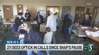 A boom in Michigan 211 calls