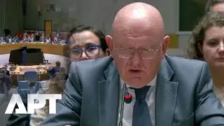 “A Cat in a Bag”: Russia Blasts U.S. Draft Gaza Resolution, Says UNSC Powers Undermined | APT