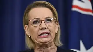 A Coalition that is left of centre ‘cannot win’ an election