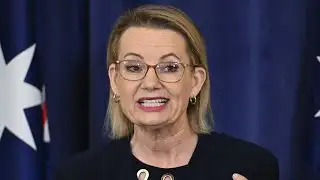 ‘A complete circus’: Liberal Party blasted for ‘straying away’ from conservative values