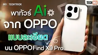 A detailed look at OPPO