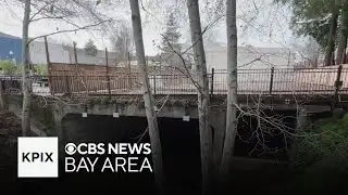 A dozen San Anselmo homeowners to decide if bridge demolition plan moves forward