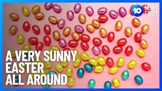 A Happy Easter Sunday | 10 News First