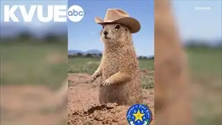 A look at how other Texas cities celebrate Groundhog Day