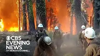 A look at how smokejumpers parachute in to fight fires