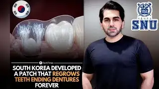 A Patch That Regrows Teeth | Korea’s Latest Medical Revolution!