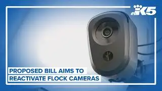 A proposed State Senate bill looks to reactivate Flock cameras