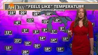 A Short Break From the Bitter Cold Won