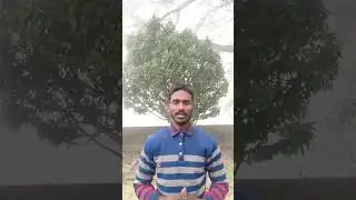 A short story about Indian scripts.#knowledge #history #news #education #vlog 