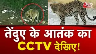 AAJTAK 2 | HATHRAS में तेंदुए से दहशत, CCTV फुटेज आया सामने! | AT2