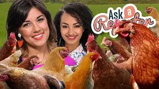 AAR - Free Range Egg Laws, ep11 2018