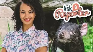 AAR - Tassie Devils in Trouble, ep23 2018