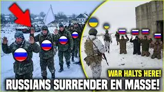 Abandoned in the Freezing Cold! Mass Surrenders Erupt After Russian Troops Are Left Behind