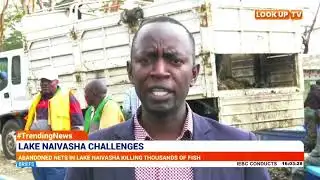 Abandoned Nets In Lake Naivasha Killing Thousands Of Fish