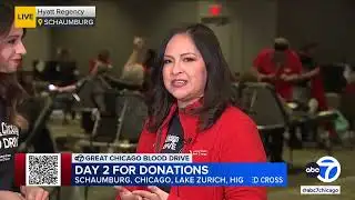 ABC7 Chicago: GCBD 11 a.m. Update at Schaumburg Live Interview with Anabel Monge
