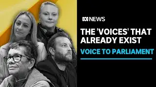 Aboriginal executives explain how First Nations advisory works | ABC News