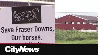 Abrupt end for Fraser Downs track marks a blow to B.C. horse racing