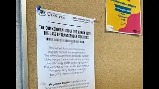 Academics, 2SLGBTQ students highlight potential 