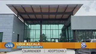 Acadiana Live: Pets of the Week