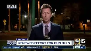 Activists, Democratic lawmakers push for action on gun bills