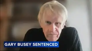 Actor Gary Busey sentenced in film convention groping case