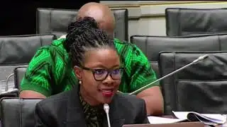 Ad Hoc Committee | Mkhwanazi Denies Corruption Allegations Before Parliament