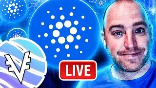 🔴 ADA CARDANO LIVE INTERVIEW WITH VYFINANCE CEO STEVEN WARD