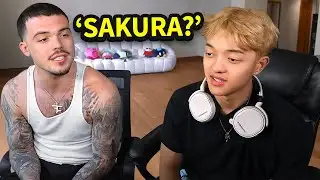 Adapt Pressed Me About Sakura..