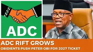 ADC Rift Deepens as Obidients Demand Presidential Ticket for Peter Obi