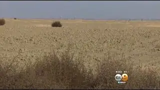 Additional Water Restrictions Imposed As Drought Escalates