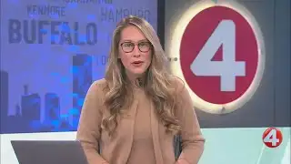 Advanced nuclear energy technologies coming to New York, Ontario