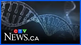 Advances in DNA analysis lead to breaks in cold cases in 2025