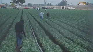 Advocates warn California budget may cut services for immigrants