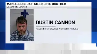 Affidavit: Man charged with murder after emptying gun into brother