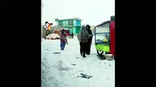 Afghanistan winter storm, heavy snow Afghanistan, rain snowfall disaster,
