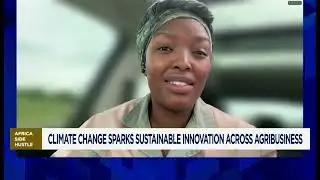 Africa Side Hustle: Agribusiness side hustles evolve into scalable enterprises