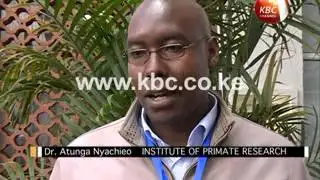 African scientists in Nairobi to explore stem cell therapy