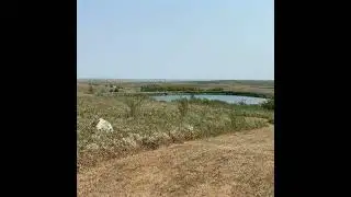 Afternoon Ag News, January 2, 2026: USDA