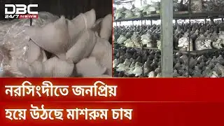 মাশরুম চাষে সফল নরসিংদীর শাহীন, তৈরি হচ্ছে নতুন উদ্যোক্তা | Agriculture | DBC NEWS